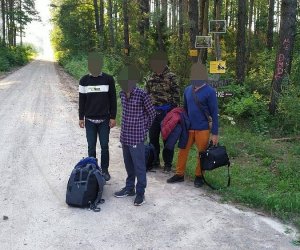 За сутки на границе Литвы с Беларусью задержаны 22 нелегальных мигранта