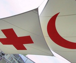 Литовское отделение организации "Красный Крест" предоставил помощи на 500 тыс. евро