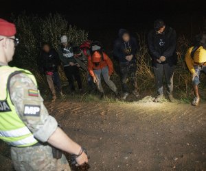 На границе с Беларусью развернули 29 незаконных мигрантов
