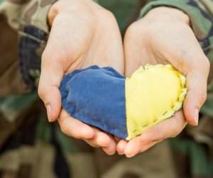 В Литве начинает действовать горячая линия помощи украинцам