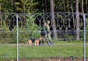 За минувшие сутки пограничники развернули на границе с Беларусью 46 нелегальных мигрантов 