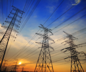 Г. Науседа: компенсации цен на электроэнергию – приоритет этого и следующего годов