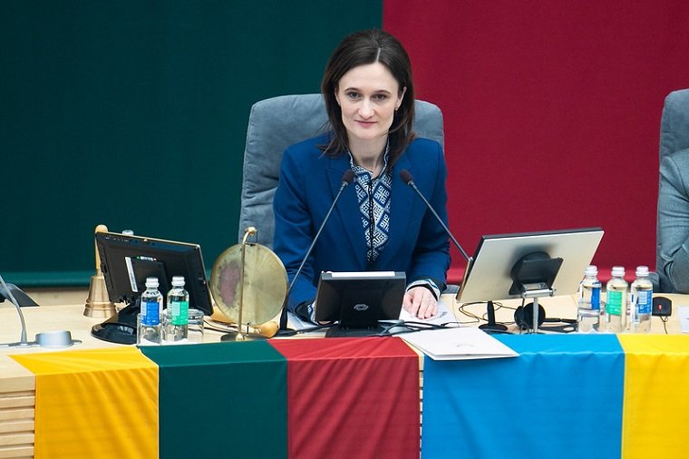 Главой литовского Движения либералов переизбрана В. Чмилите-Нильсен