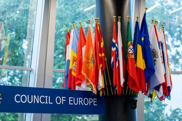 В Сейме – первое мероприятие председательства Литвы в Совете Европы