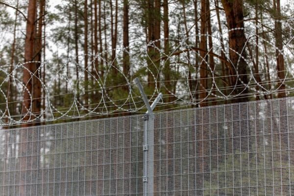 СОГГЛ: на границе Литвы с Беларусью нелегальных мигрантов не зафиксировано