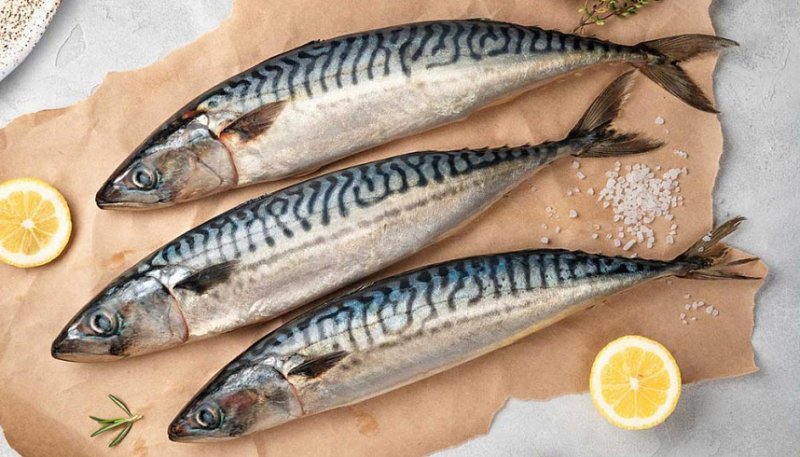 Рыбный день: готовим скумбрию