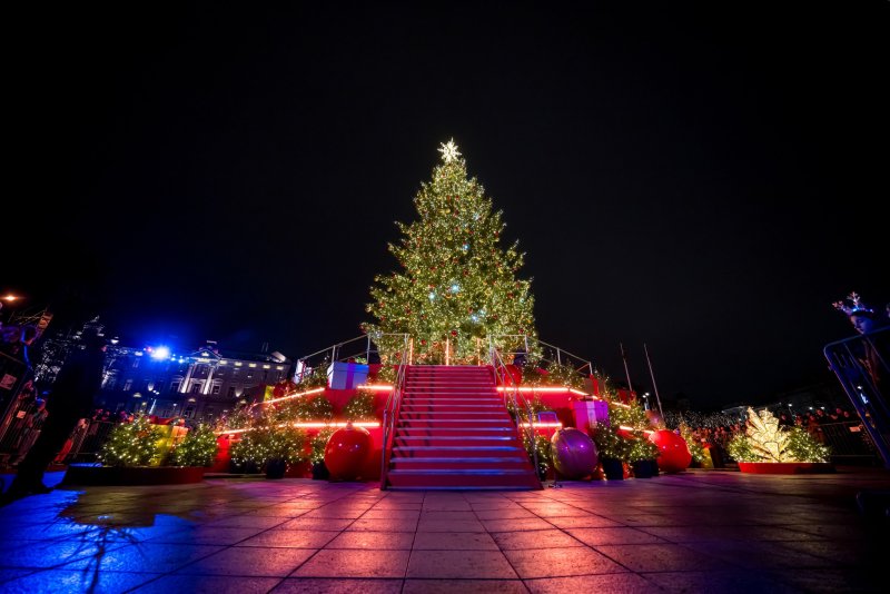 Путешествие по сияющей Литве: самые красивые елки